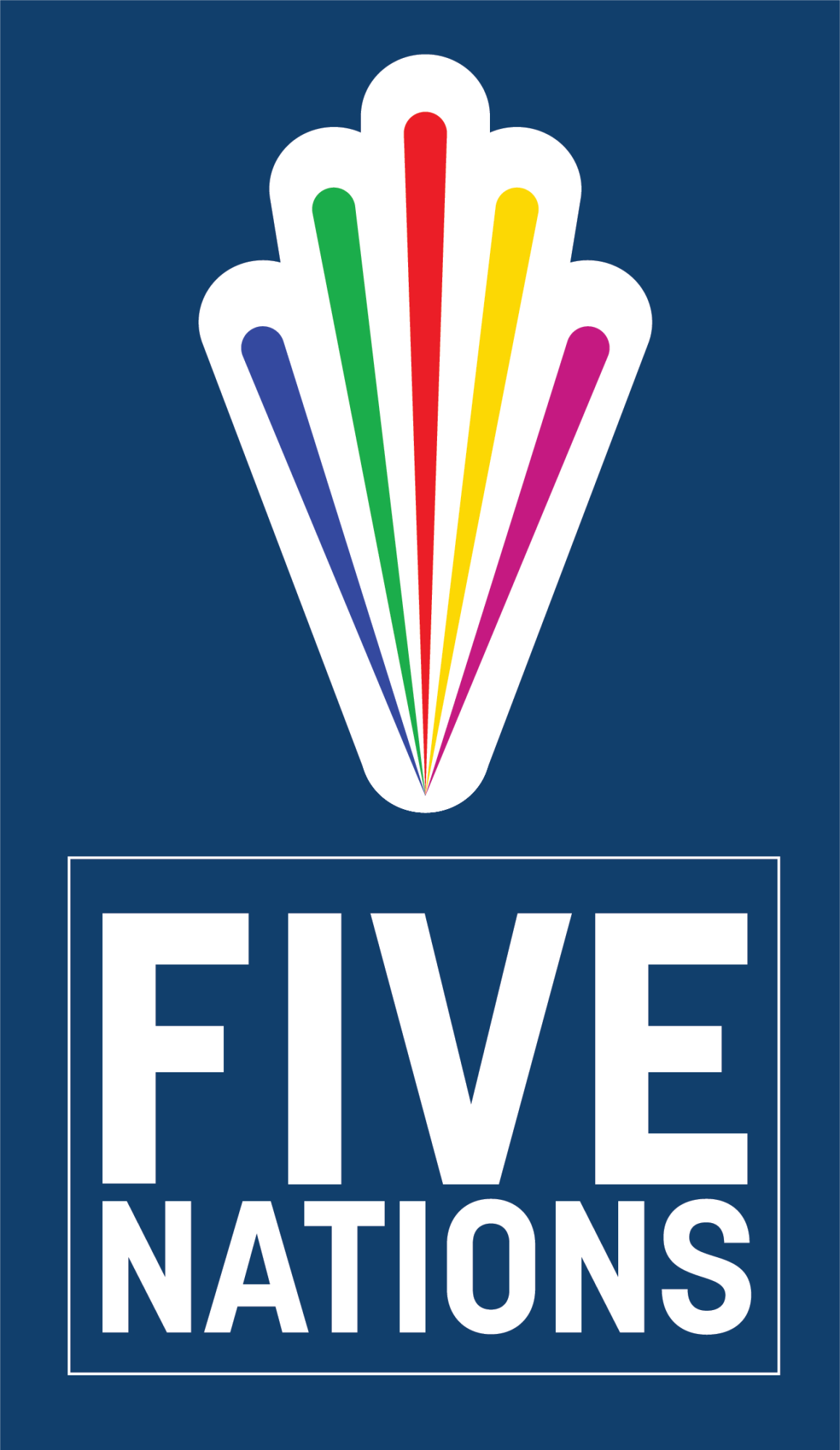 Five nations final Colour