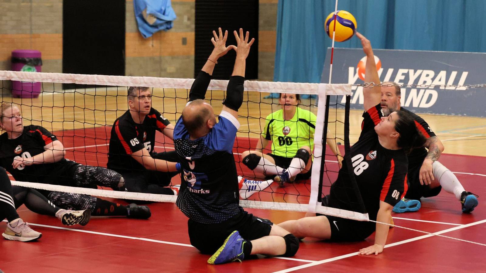 Disability History Month: Sitting Volleyball Starter Pack